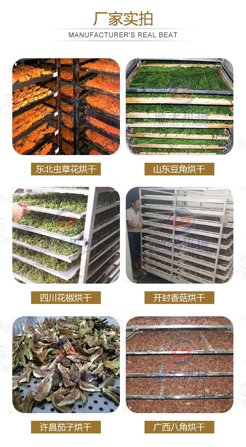 蟲(chóng)草花烘干機(jī)廠家實(shí)拍