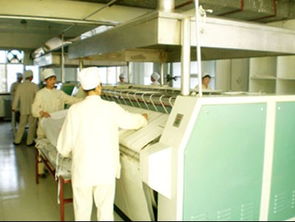 把握商機，承接優(yōu)質(zhì)資產(chǎn) 現(xiàn)成水洗廠整體與技術(shù)轉(zhuǎn)讓詳解